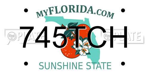 745TCH Florida License Plate