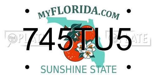 745TU5 Florida License Plate