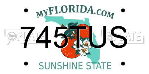 745TUS Florida License Plate