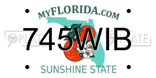 745WIB Florida License Plate