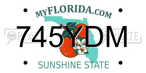 745YDM Florida License Plate