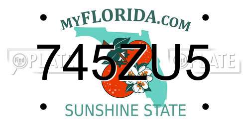 745ZU5 Florida License Plate