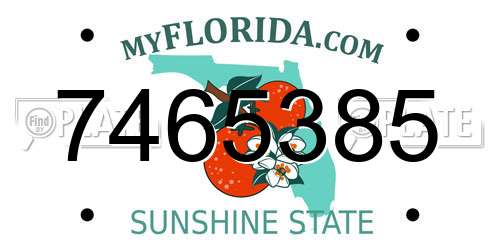 7465385 Florida License Plate