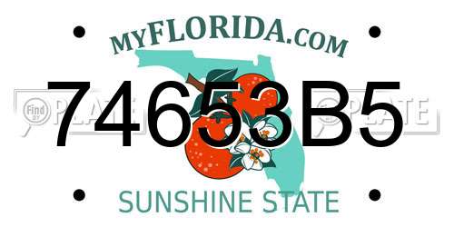 74653B5 Florida License Plate