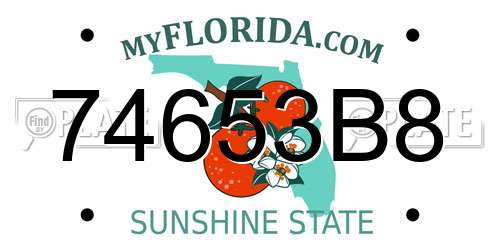 74653B8 Florida License Plate