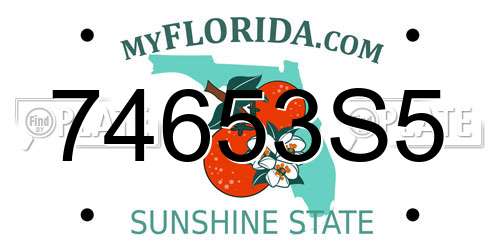 74653S5 Florida License Plate
