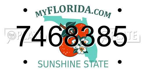 7468385 Florida License Plate