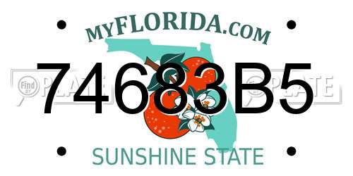 74683B5 Florida License Plate