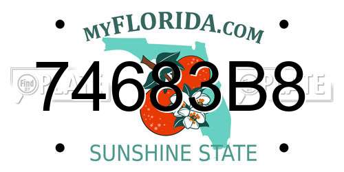 74683B8 Florida License Plate
