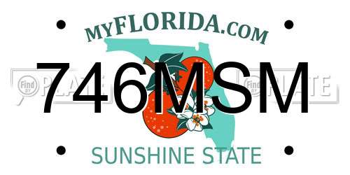 746MSM Florida License Plate