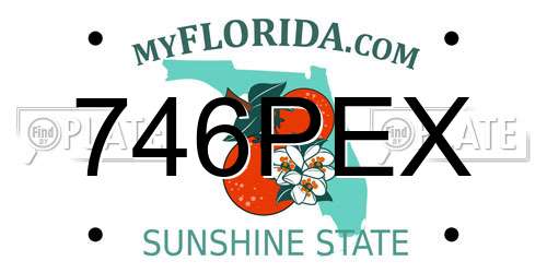 746PEX Florida License Plate