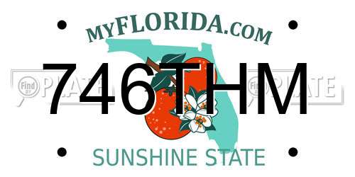 746THM Florida License Plate
