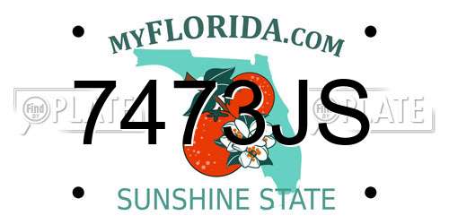 7473JS Florida License Plate
