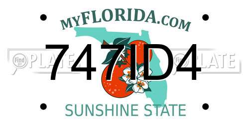 747ID4 Florida License Plate