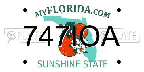 747IOA Florida License Plate