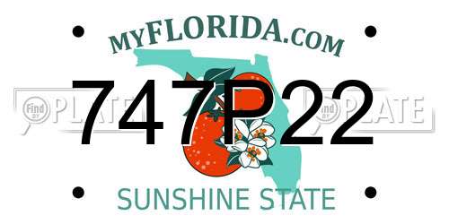 747P22 Florida License Plate