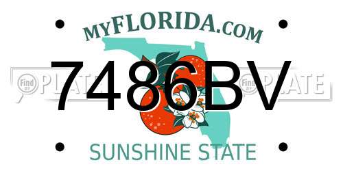 7486BV Florida License Plate
