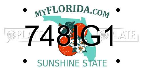 748IG1 Florida License Plate
