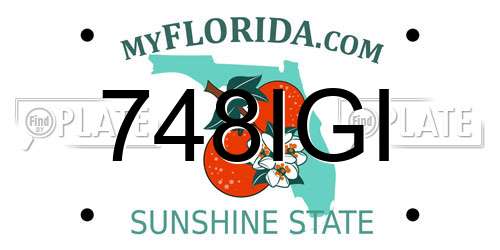 748IGI Florida License Plate