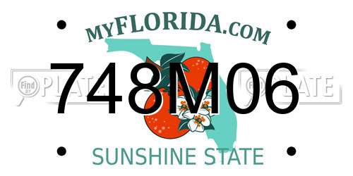 748M06 Florida License Plate