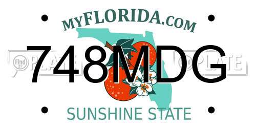 748MDG Florida License Plate