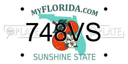 748VS Florida License Plate