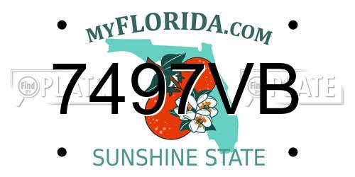 7497VB Florida License Plate