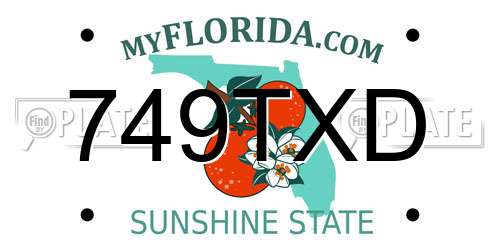 749TXD Florida License Plate