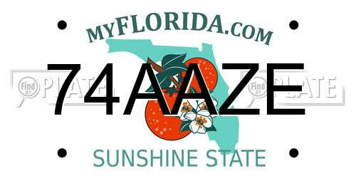 74AAZE Florida License Plate