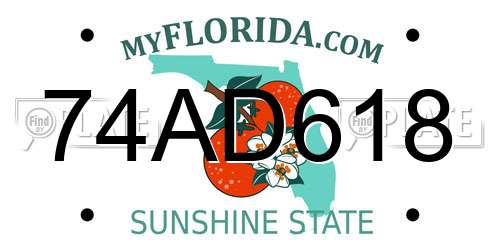 74AD618 Florida License Plate