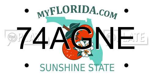 74AGNE Florida License Plate
