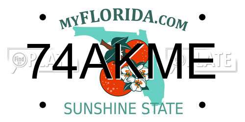 74AKME Florida License Plate