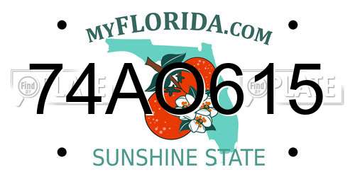 74AO615 Florida License Plate