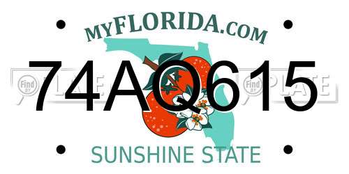 74AQ615 Florida License Plate