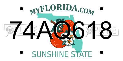 74AQ618 Florida License Plate