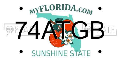 74ATGB Florida License Plate