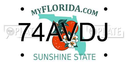 74AVDJ Florida License Plate