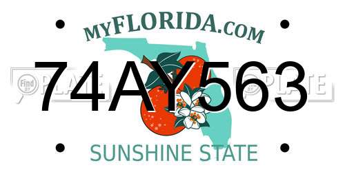 74AY563 Florida License Plate
