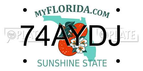 74AYDJ Florida License Plate