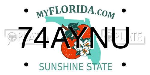 74AYNU Florida License Plate