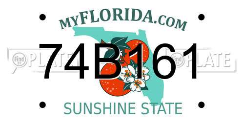 74B161 Florida License Plate