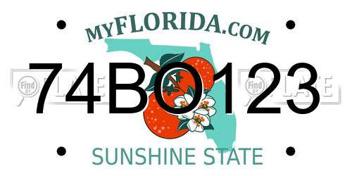 74BO123 Florida License Plate