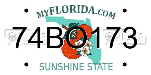 74BO173 Florida License Plate