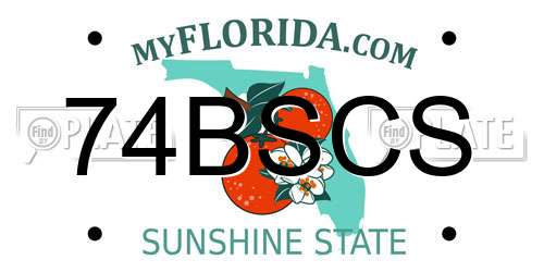 74BSCS Florida License Plate