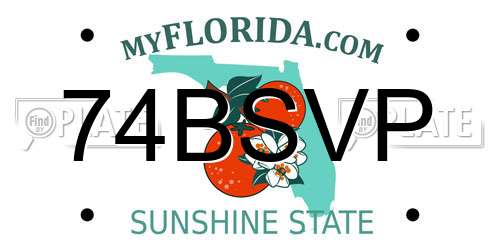 74BSVP Florida License Plate