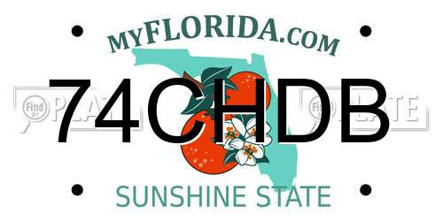 74CHDB Florida License Plate
