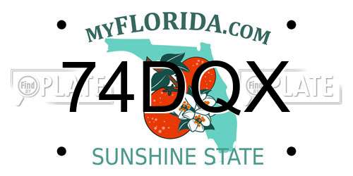 74DQX Florida License Plate