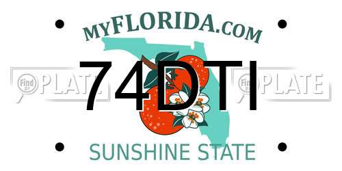 74DTI Florida License Plate