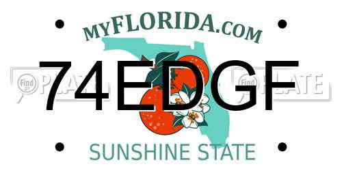 74EDGF Florida License Plate