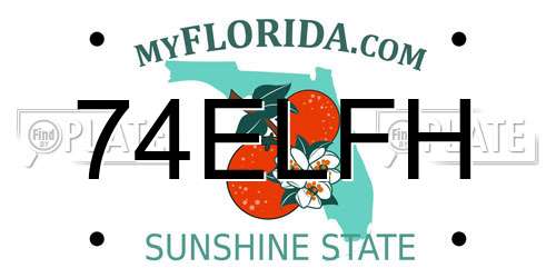 74ELFH Florida License Plate